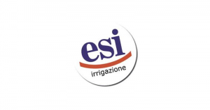 Logo Esi - Marchio trattato da Santori Srl Latina